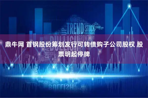 鼎牛网 首钢股份筹划发行可转债购子公司股权 股票明起停牌