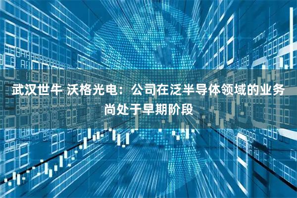 武汉世牛 沃格光电：公司在泛半导体领域的业务尚处于早期阶段