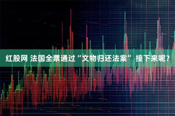 红股网 法国全票通过“文物归还法案” 接下来呢?