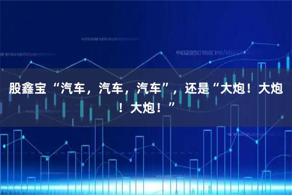 股鑫宝 “汽车，汽车，汽车”，还是“大炮！大炮！大炮！”
