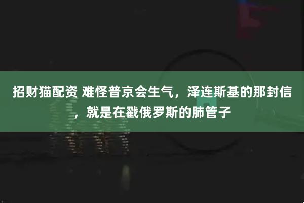 招财猫配资 难怪普京会生气，泽连斯基的那封信，就是在戳俄罗斯的肺管子