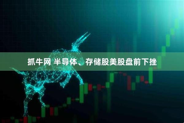 抓牛网 半导体、存储股美股盘前下挫