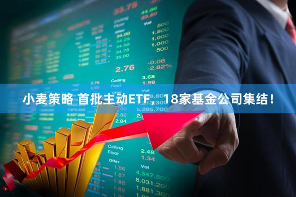 小麦策略 首批主动ETF，18家基金公司集结！