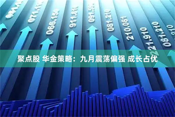 聚点股 华金策略：九月震荡偏强 成长占优